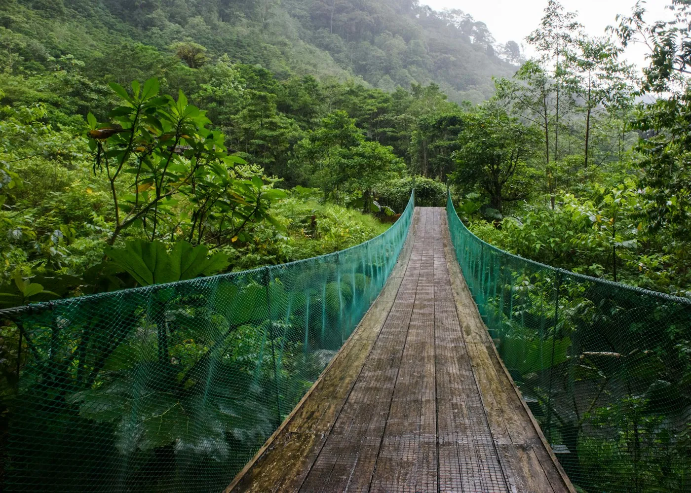 Wooden hanging bridge through the rainforest canopy in Costa Rica