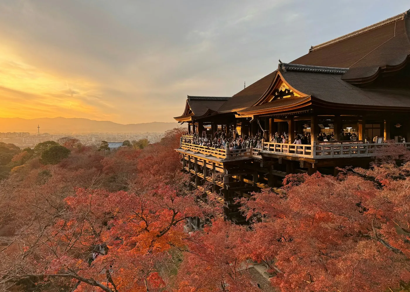 Wooden temple terrace above red autumn trees in Kyoto at sunset